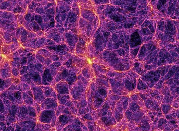 Galaxies in the great cosmic voids grow more slowly than the rest of the universe