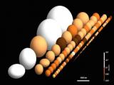 Objetos transneptunianos observados por el telescopio HERSCHEL