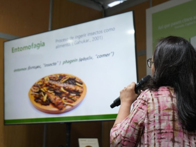 LIGIA – DSC08220
