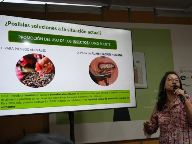 LIGIA – DSC08247