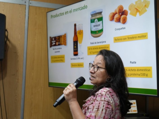 LIGIA – DSC08291