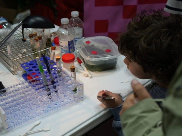 Talleres infantiles – DSC08596