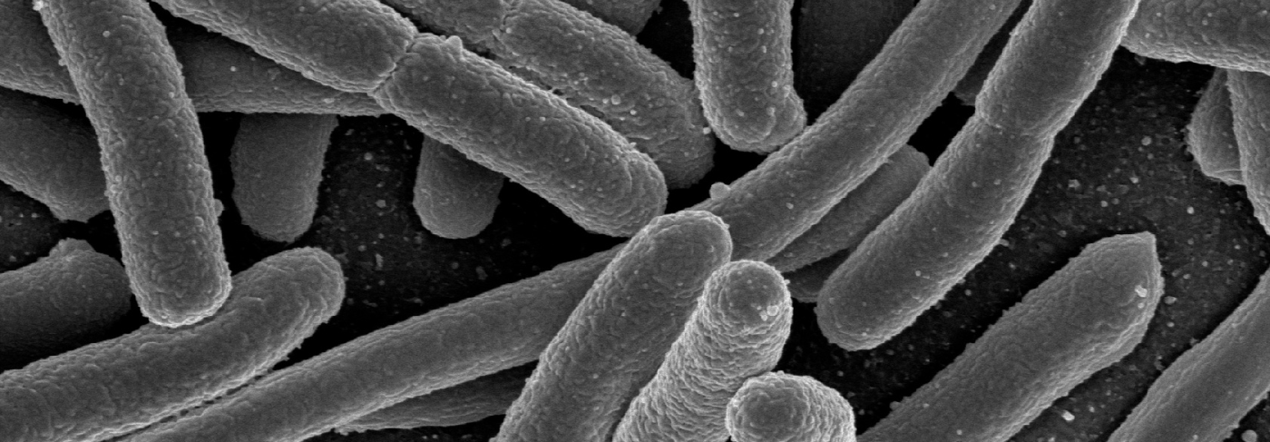 Un duradero experimento científico