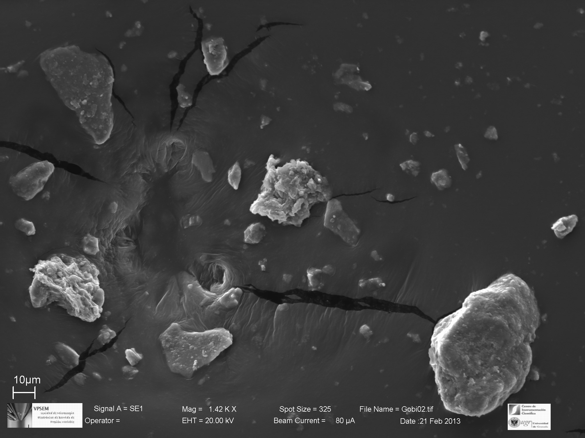 Scanning Electron Microscopy image of Gobi Desert dust particles